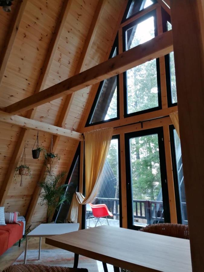 Zlatair Chalets Villa Nova Varoš Kültér fotó