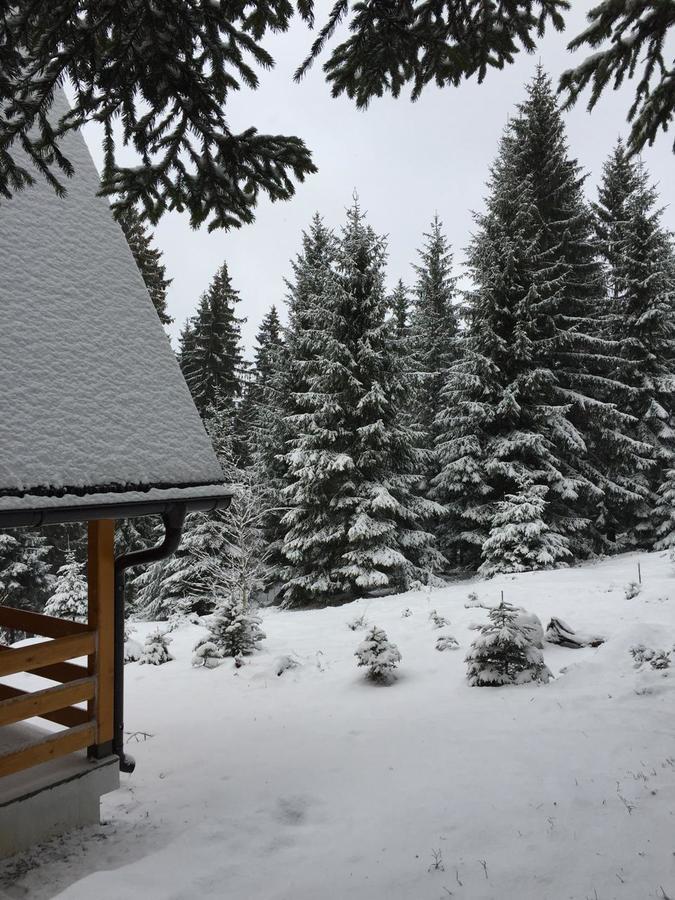 Zlatair Chalets Villa Nova Varoš Kültér fotó